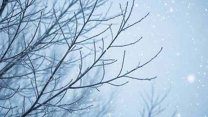 Bare tree branches against snowy blue background with falling snow snowfall winter