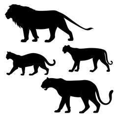Silhouettes of big cats