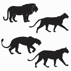 Silhouettes of big cats