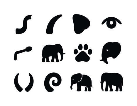 Elephant Icon Set. Elephant Features. Solid icon set of Elephant Features: trunk icon, tusk icon, ear icon, elephant eye, elephant tail, elephant silhouette,