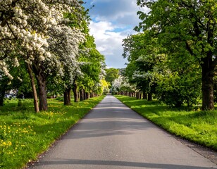 Obraz premium Spring avenue lined with trees