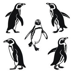 Five penguins in black and white silhouettes