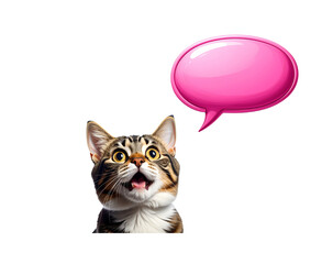 Cat with a pink speech bubble isolated on white background