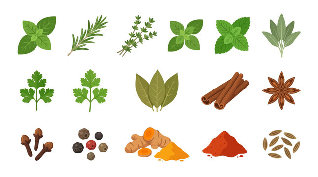 Assorted herbs and spices arranged in a grid pattern.