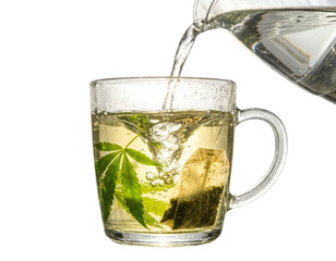 Green Hemp Leaf Tea Infusion in Clear Mug, Natural Light, Transparent Background