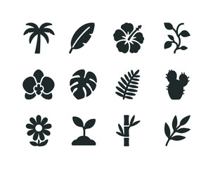Tropical Flora Icons. Tropical Flora. Solid icon set of Tropical Flora: palm tree, banana leaf, hibiscus, vine, orchid, monstera leaf, fern, cactus, flower,