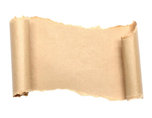 Close-up of a curled and slightly damaged parchment-like scroll, against black background