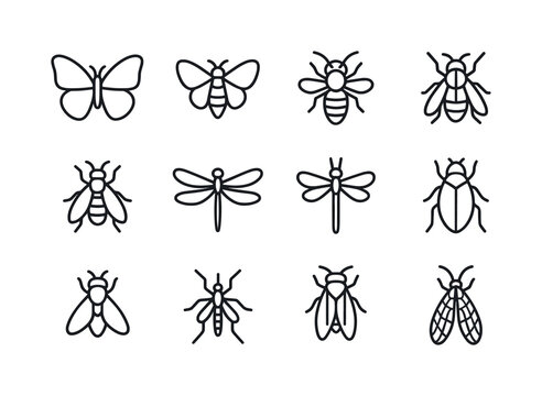 Winged Insect Icons. Insects with Wings. Line icon set of Insects with Wings: butterfly, moth, bee, wasp, hornet, dragonfly, damselfly, beetle wings, fly,