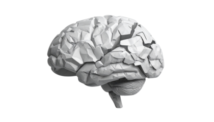 Low-poly 3D render of a human brain, grayscale, isolated on black