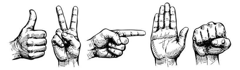 Hand drawn line art hand gesture icons set featuring thumbs up, peace sign, pointing finger, open palm, and a clenched fist for communication and graphic design
