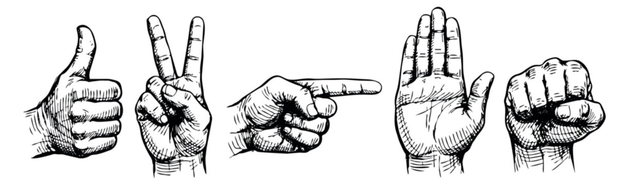 Hand drawn line art hand gesture icons set featuring thumbs up, peace sign, pointing finger, open palm, and a clenched fist for communication and graphic design