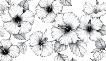 Black & white hibiscus floral pattern. Detailed blooming botanical art