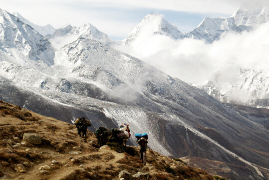 Porter and three yaks trekking with supplies in the Himalayas, Nepal