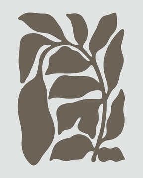 the expression of the branches of leaves in the morning silence
