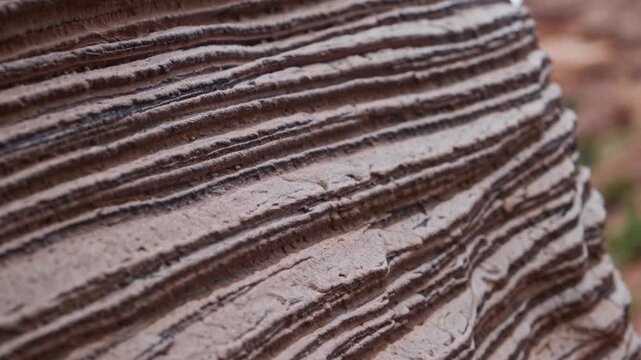closeup striated sediment layers reveal thin brown bands across beige rock, repetitive banding and fine grain texture, geological formation vibe, field geologist study context, tactile erosion lines