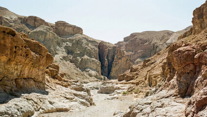 Rocky desert canyon landscape in the Middle East