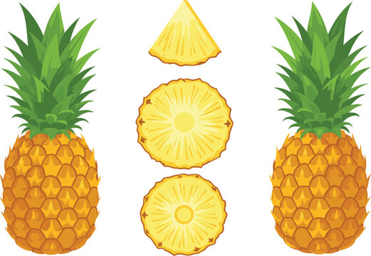 Pineapple fruit vector set with whole and sliced pieces tropical fresh food illustration isolated on white background