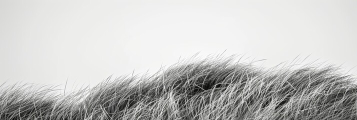 Obraz premium A minimalist composition of rolling waves of grass evoking a sense of calm and tranquility. Black and white art