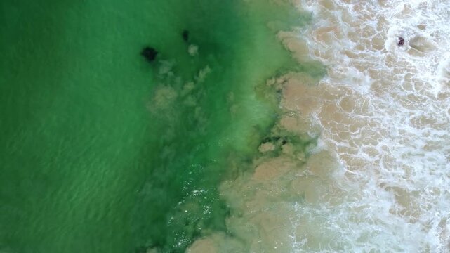 An aerial view of a shark swimming in shallow water