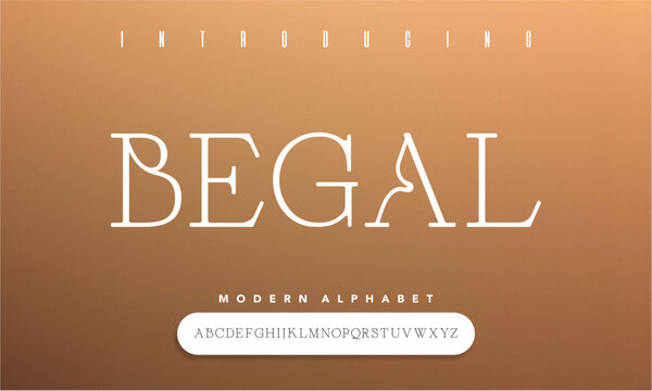 Begal Aesthetic Display Serif Font Simple
