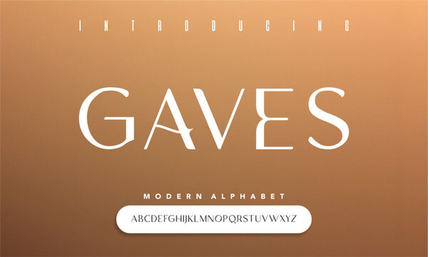Faves Aesthetic Display Serif Font