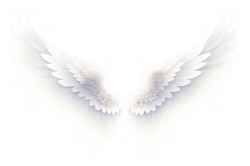 White angel wings creating a symbol of divinity, freedom, and spiritual ascension with feathers spread for flight