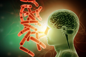 Medical illustration depicting a human head with a visible brain structure, highlighting the presence of pathogenic bacteria. 3d illustration