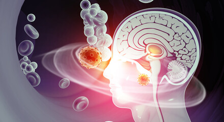 A detailed 3D medical illustration featuring a cross-section of a human head and brain anatomy. 