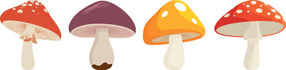 Set of colorful stylized forest mushrooms including red fly agaric and various fungi for autumn design