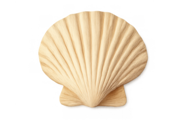 Scallop seashell isolated on transparent background, featuring a marine aquatic symbol for ocean, beach, and summer concepts