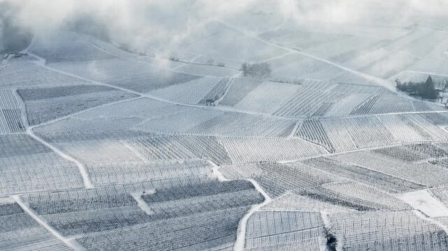 Aerial view of snow-covered vineyards creating a textured landscape, with white fields contrasting with the dark lines of the vines, Orschwiller, Grand Est, France.
