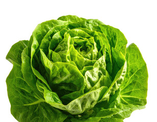 Obraz premium Overhead shot of a fresh, vibrant green head of lettuce against a black background