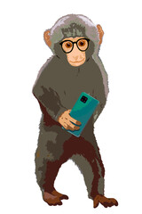 Intelligent looks cute Monkey with smartphone