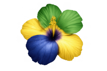 Brazil flag colors vibrant hibiscus flower representing national identity, patriotism, and tropical spirit on transparent background