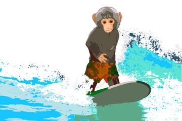 Cute monkey surfer