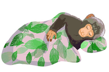 Cute monkey sleeping peacefully