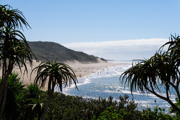 Beachgoers enjoy the summer weather at the ocean