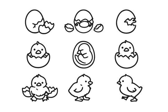 Cute Chick Hatching from Egg Icon Set