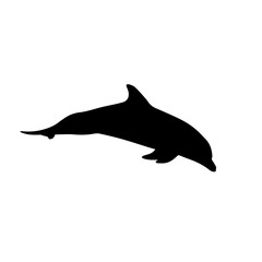 Obraz premium A black silhouette of a dolphin leaping out of the water.