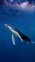 Fototapeta premium Majestic humpback whale swims through a cosmic ocean under a starry nebula sky