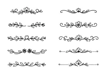 Fototapeta premium Elegant Floral Ornaments and Flourishes Set