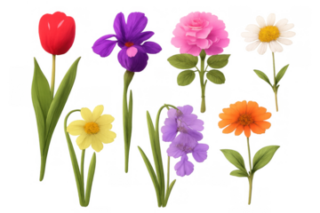 Vibrant collection of various spring flowers: red tulip, purple iris, pink rose, white daisy, yellow daffodil, bluebell, marigold