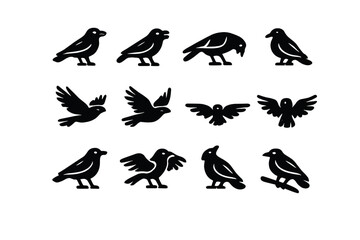 Collection of Bird Silhouettes in Various Poses