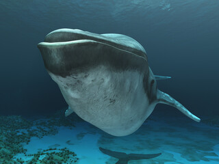 Buckelwal in einer Unterwasserlandschaft