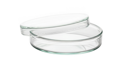 Two clear glass petri dishes stacked with condensation on the inner rim of the bottom dish png isolated transparent background