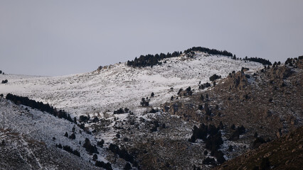 snow covered mountains