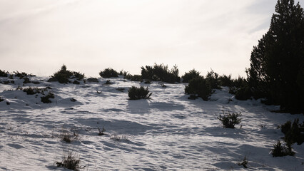 winter in the mountains