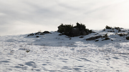 snow covered mountains