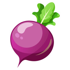 Fresh beetroot vegetable illustration for healthy eating and organic food concept design vector