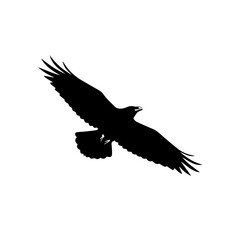 Obraz premium A striking black silhouette of an eagle in flight with wings spread wide against a clean white background.